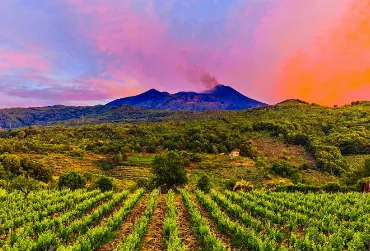 ETNA & NERELLO MASCALESE: IL CUORE VULCANICO DEL VINO SICILIANO