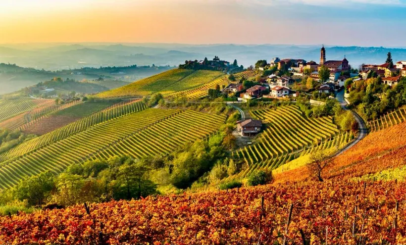 LANGHE & NEBBIOLO: LA FORZA GENTILE DEL PIEMONTE