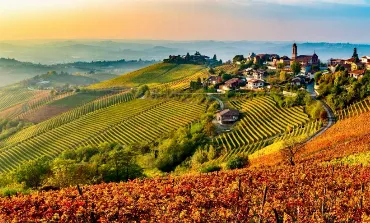 LANGHE & NEBBIOLO: LA FORZA GENTILE DEL PIEMONTE